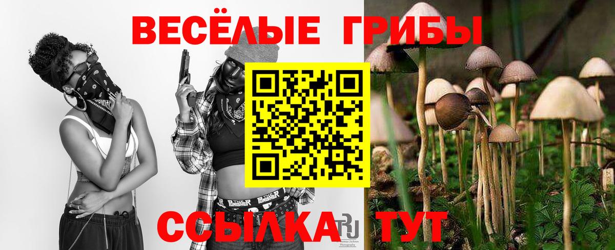 Скопин  Галлюциногенные грибы Magic Shrooms  Вход с VPN 